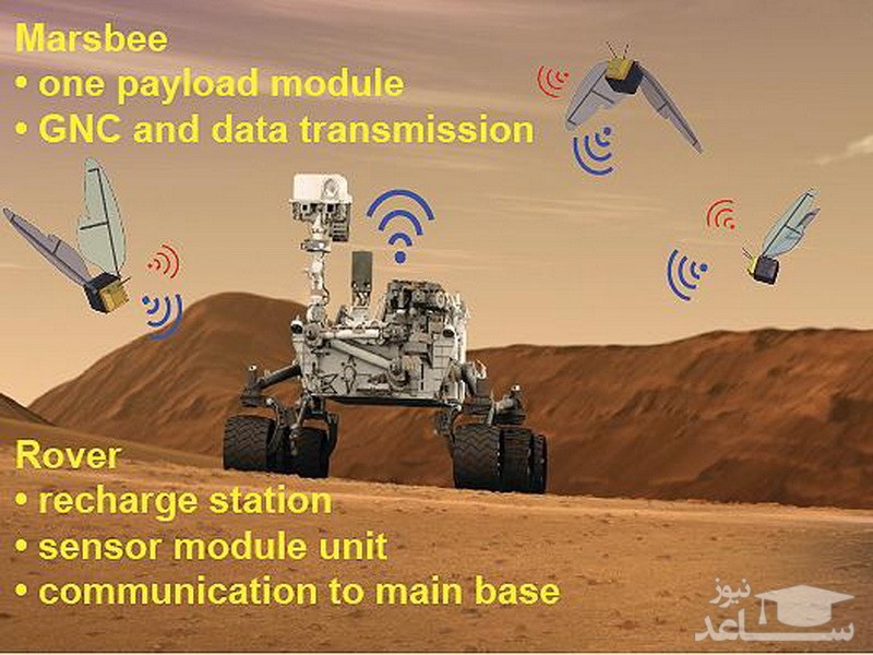 سفر زنبورهای رباتیک به مریخ !