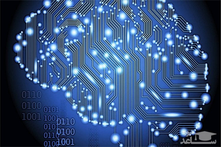 تلاش دارپا برای ایجاد نوعی هوش مصنوعی با بازآفرینی کامل عملکرد مغز انسان