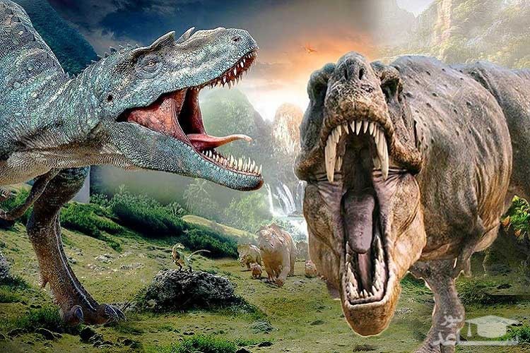 شیوع گیاهان سمی؛ انقراض دایناسورها!