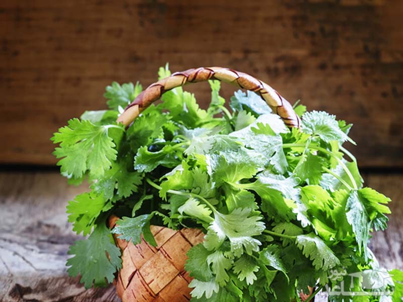 فواید و خواص درمانی گشنیز