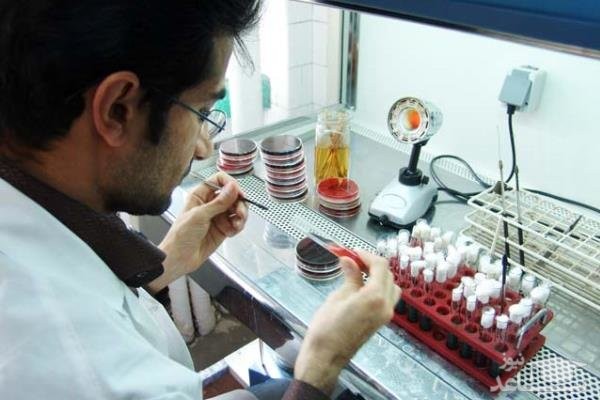پیگیری طرح اختصاص پایه های تشویقی برای اساتید فعال در مرکز رشد دانشگاه امام خمینی