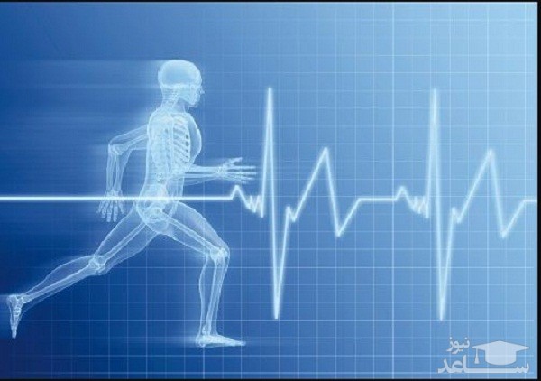 منابع دروس آزمون رشته تربیت بدنی - فیزیولوژی ورزشی و ضرایب آن در مقطع دکتری