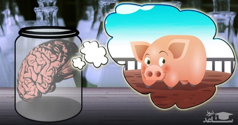 امکان زنده نگه داشتن مغز در بیرون از بدن!