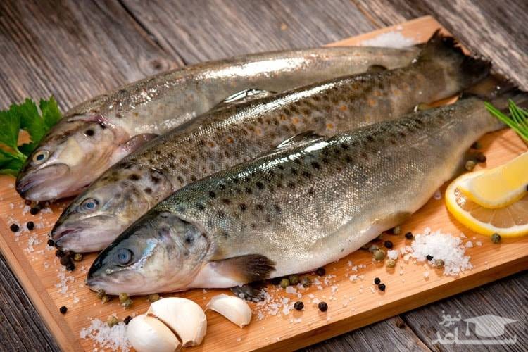 ماهی هایی که نباید آنها را خورد!