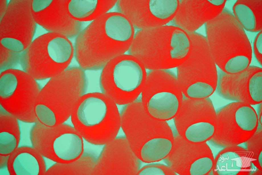 فواید ابریشم در علم پزشکی