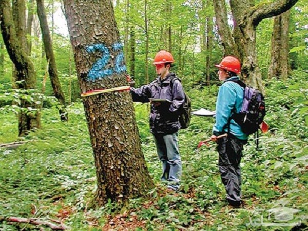 منابع و دروس رشته علوم و مهندسی جنگل و ضرایب آن در مقطع کارشناسی ارشد