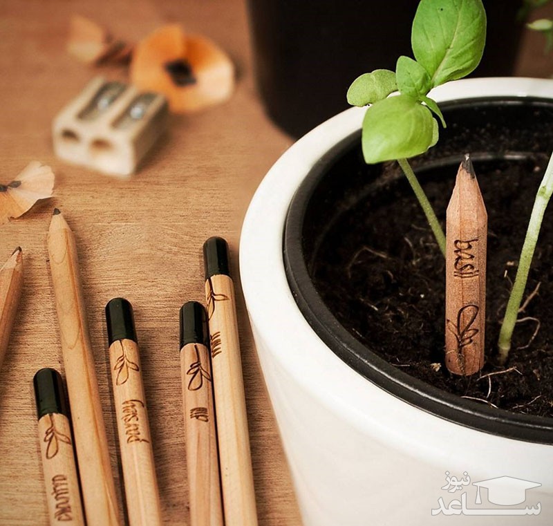 مدادهایی که رشد میکنند!