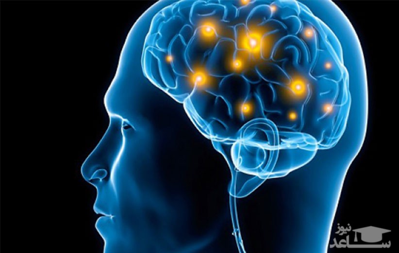 قدرت مغز انسان و باورهای اشتباه در مورد آن