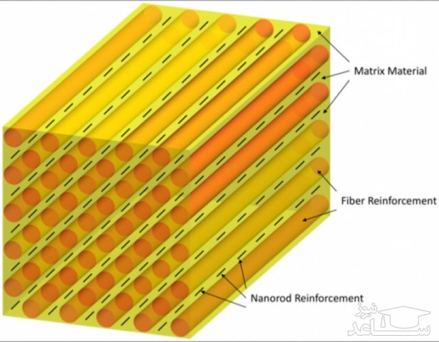 استفاده از تار عنکبوت در طب و پزشکی
