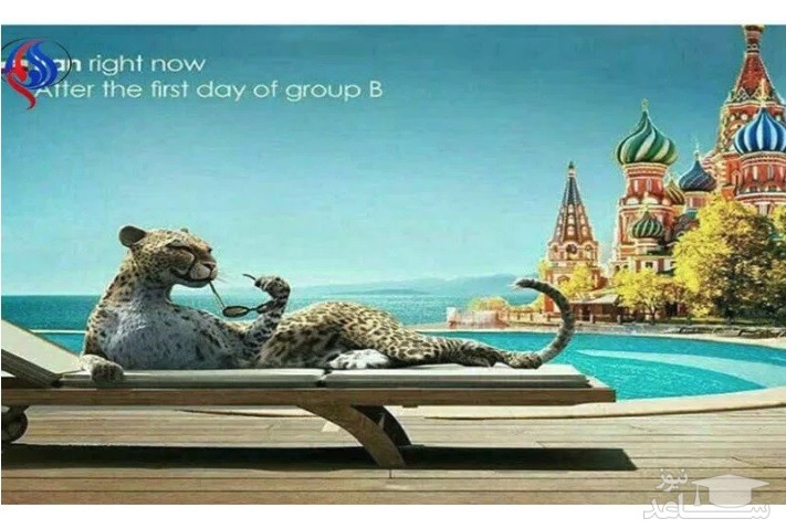 تصویر رسانه های خارجی بعد از صدر نشینی ایران در گروه مرگ