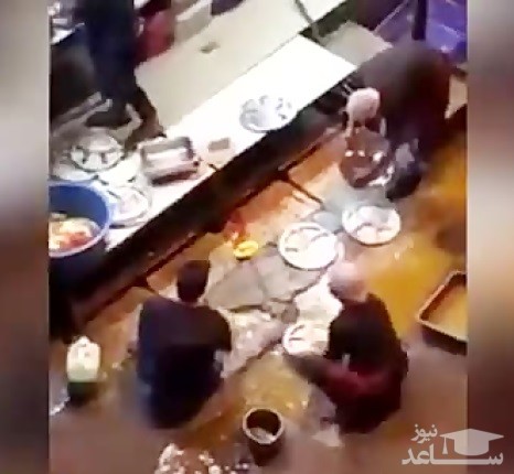 (فیلم) ظرف شستن با آب کثیف در آشپزخانه یک رستوران