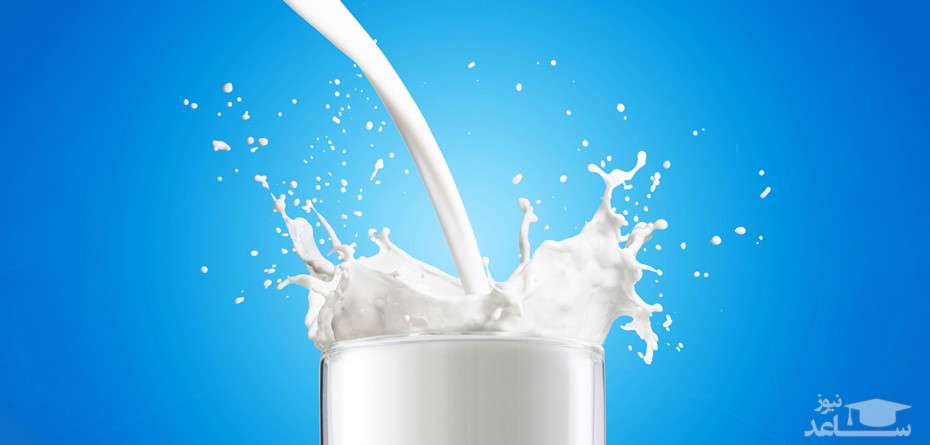 با خواص شگفت انگیز شیر الاغ آشنا شوید!