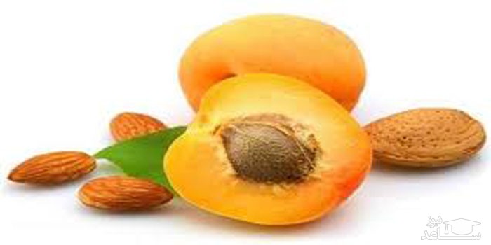 هسته زردآلو بالاخره کشنده است یا شفا دهنده؟