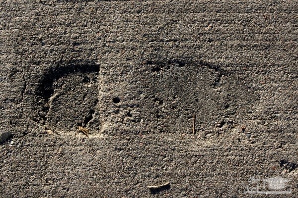 ربات های ردپا یاب اختراع شدند !