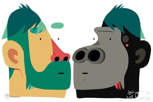 کروموزوم Y با بدن ما چه میکند؟