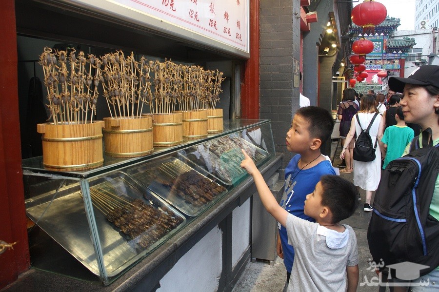 (فیلم) صف خرید سوسک و عقرب سوخاری در پکن!
