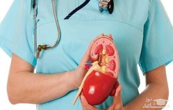 بیماری کلیه پلی کیستیک یا کیست کلیه چیست و چه علائمی دارد؟