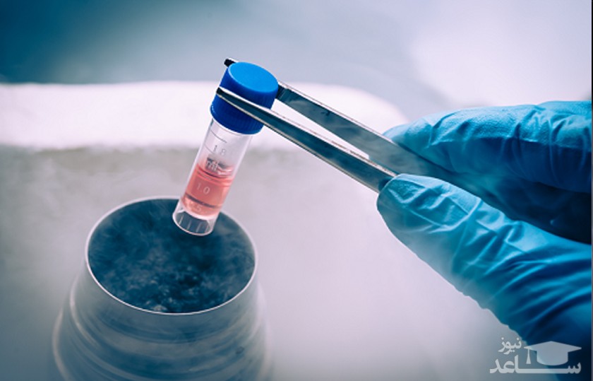 فریز تخمک برای بارداری چگونه انجام میشود؟