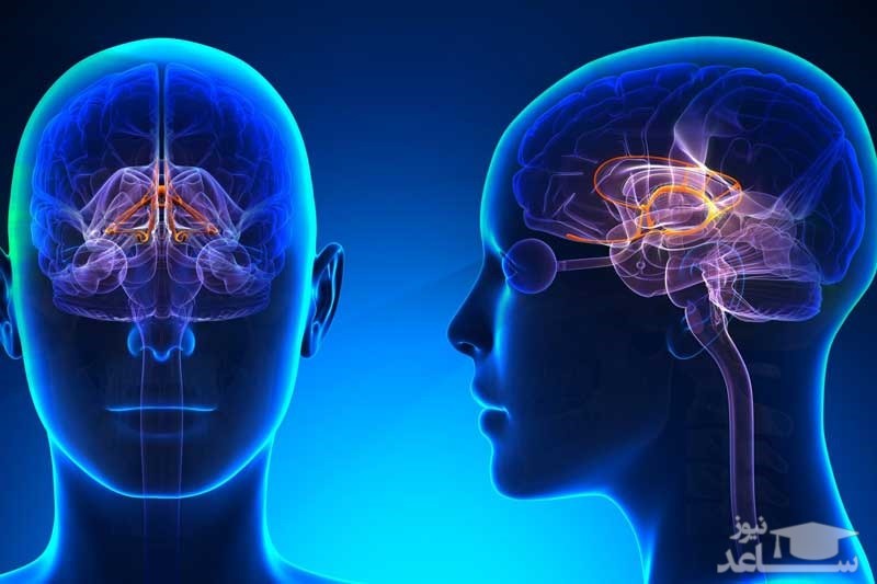 نوروپاتی دیابتی (بیماری اعصاب محیطی) چیست؟