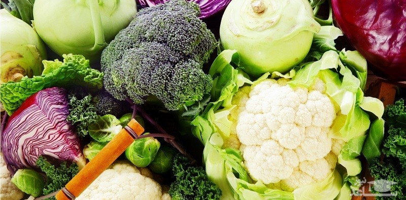 سبزیجاتی برای جایگزینی شیر و محصولات لبنی