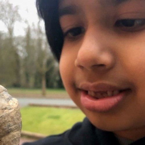 6 साल के वॉल्सॉल लड़के को, बगीचे में प्रागैतिहासिक जीवाश्म मिला
