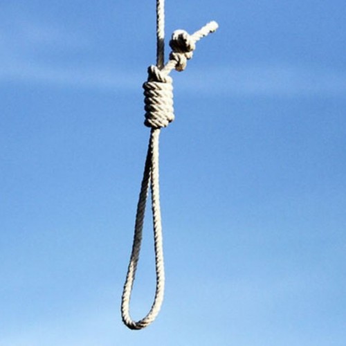 اعدام زن و شوهر قاتل در یاسوج/ دستگیری هنگام ارتکاب قتل سوم!