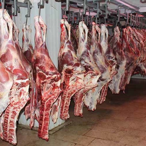 افشاگری عجیب رییس شورای تامین دام درباره افزایش قیمت گوشت