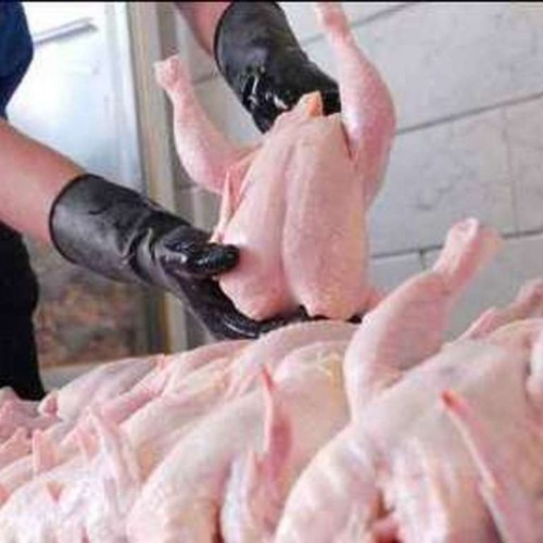 افزایش ۱۰۰درصدی قیمت مرغ ثبت شد