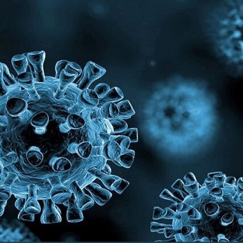 احتمال خیز جدید کرونا با جهش ویروس در ایران