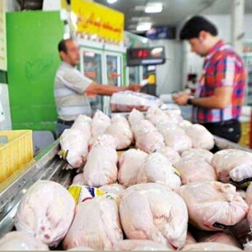 آیا باز هم قیمت مرغ گرانتر خواهد شد؟