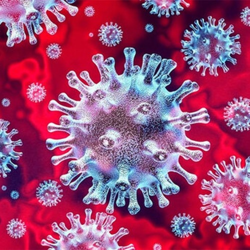 آیا سرکه و نمک ویروس کرونا را از بین می‌برند؟