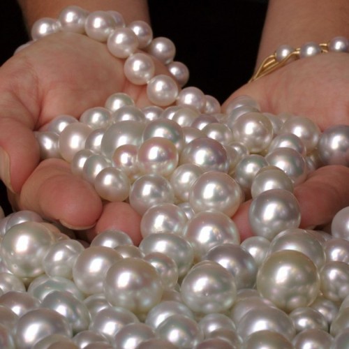 عکس زیبا از نادرترین مروارید دنیا!