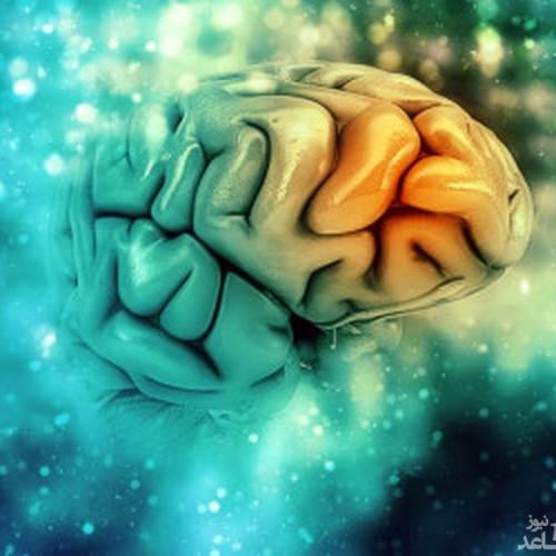 ارزیابی کارکرد مغز و میزان هوش با تست روانشناسی