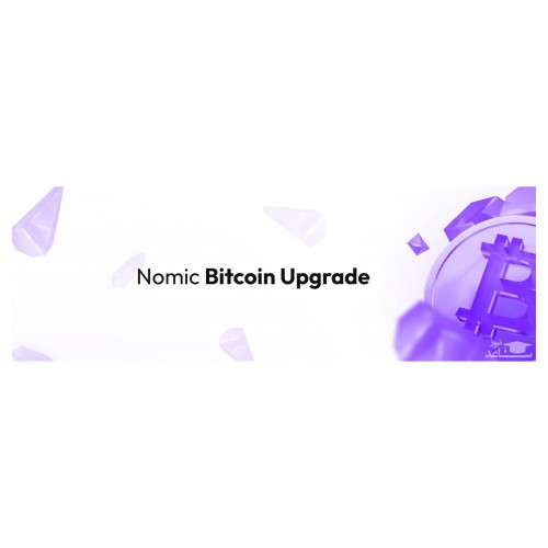 آشنایی با شبکه نامیک (Nomic)