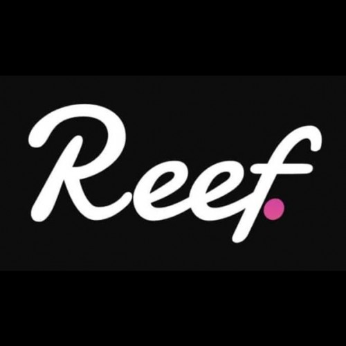 آشنایی با ارز دیجیتال ریف فایننس (Reef Finance)