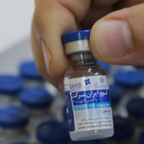 از ماه مرداد هفته ای 2 میلیون دُز واکسن برکت تحویل داده می شود