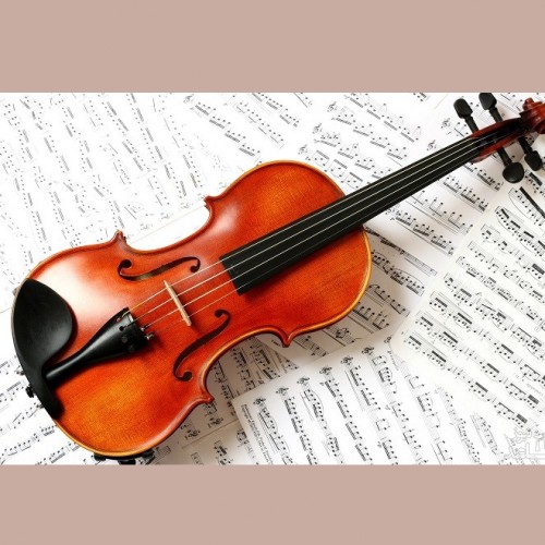با ساز ویولن بیشتر آشنا شوید