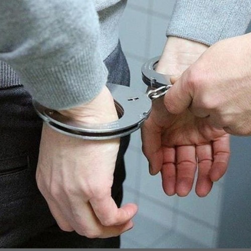 بازداشت و احضار ۱۱نفر به دلیل الاغ سواری در شهر برای فرار از محدودیت کرونایی