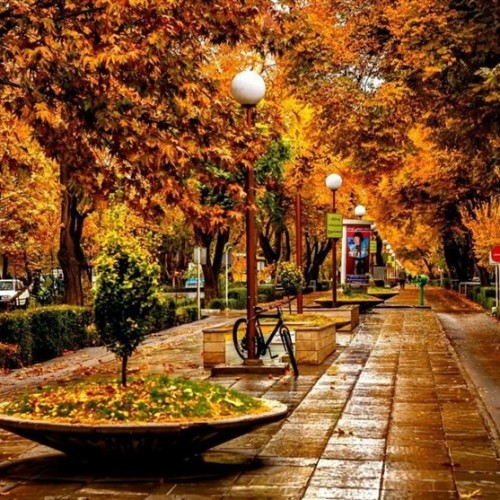Beauties of Fall in Persia: Isfahan's Chaharbagh
