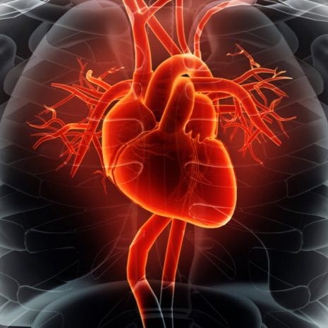 بیماری ایسکمی قلب چیست؟