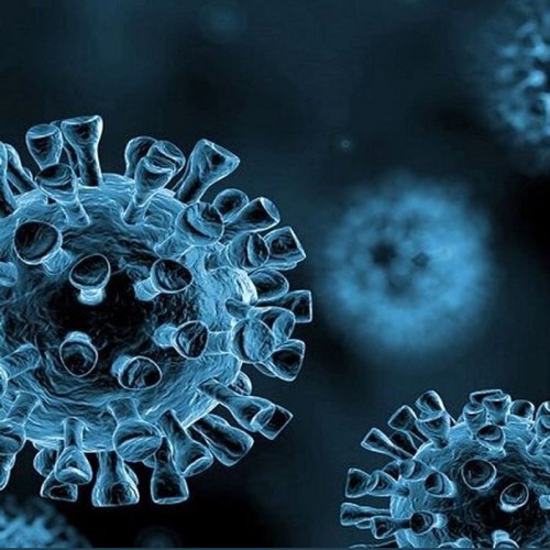 (فیلم) چه زمانی از شر ویروس کرونا خلاص خواهیم شد؟