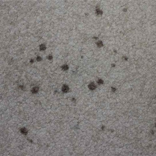 چگونه لکه های سیاه را در عرض چند دقیقه از روی فرش پاک کنیم؟