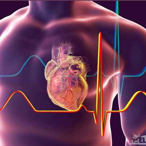 در مورد بیماری دریچه های قلبی چه می دانید؟