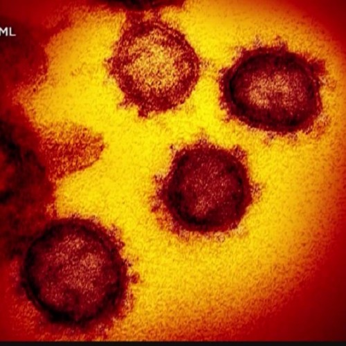 داروی ترکیبی ژاپن برای درمان کرونا