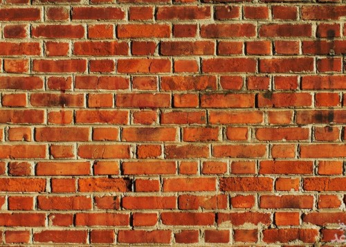 دیدن آجر در خواب چه تعبیری دارد؟ / تعبیر خواب آجر