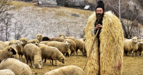 دیدن چوپان در خواب چه تعبیری دارد؟ / تعبیر خواب چوپان