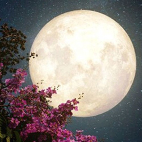 دیدن ماه در خواب چه تعبیری دارد؟ / تعبیر خواب ماه