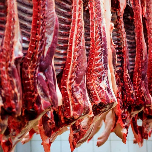 دلایل گرانی مجدد گوشت/ گوشت وارداتی به تعادل بازار کمک می‌کند؟