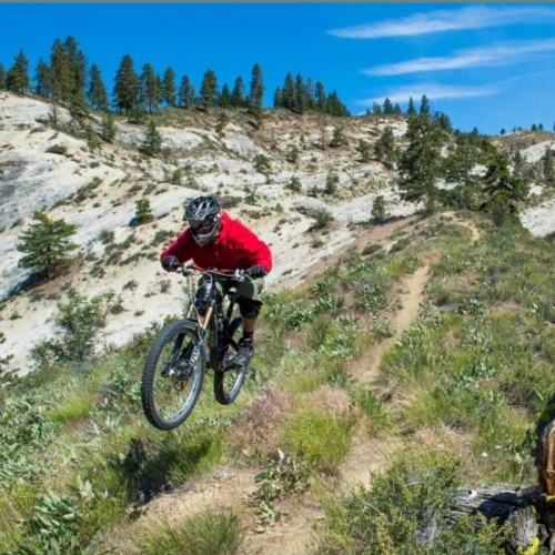 دوچرخه‌سواری کوهستان