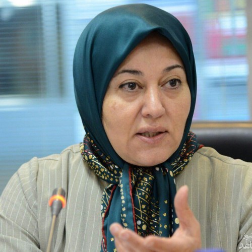 دکتر فاطمه مقیمی : چالش های کارآفرینی در ایران امروز